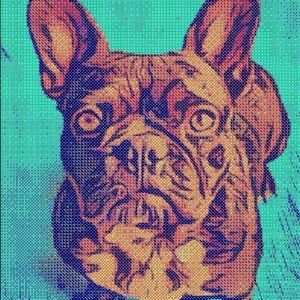 Meet your Posher, Shane